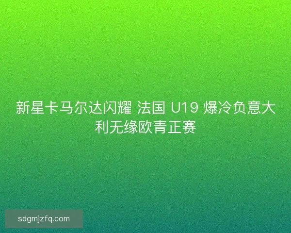 新星卡马尔达闪耀 法国 U19 爆冷负意大利无缘欧青正赛