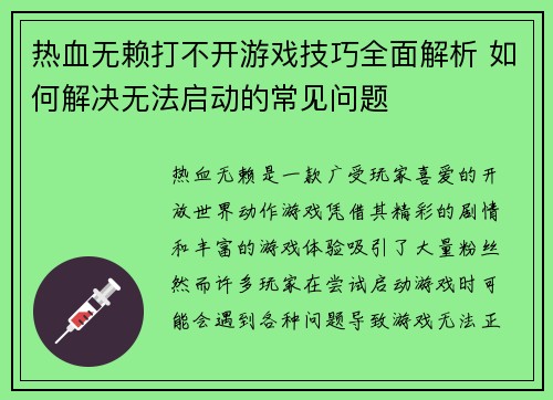 热血无赖打不开游戏技巧全面解析 如何解决无法启动的常见问题